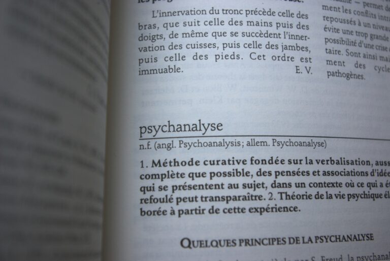 Lire la suite à propos de l’article Devenir sujet après une psychanalyse