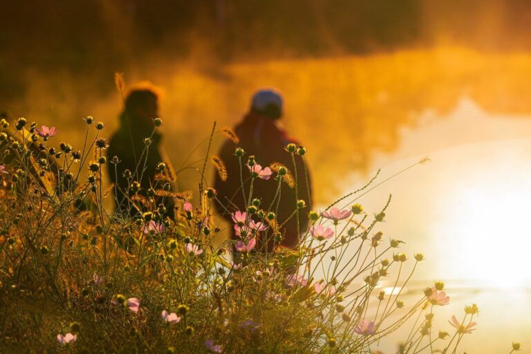 Lire la suite à propos de l’article Faire le deuil d’un proche mort du coronavirus à Paris 18è