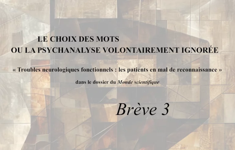 Lire la suite à propos de l’article Le choix des mots ou la psychanalyse volontairement ignorée III