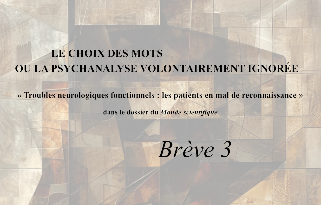 Le choix des mots ou la psychanalyse volontairement ignorée - Brève 3