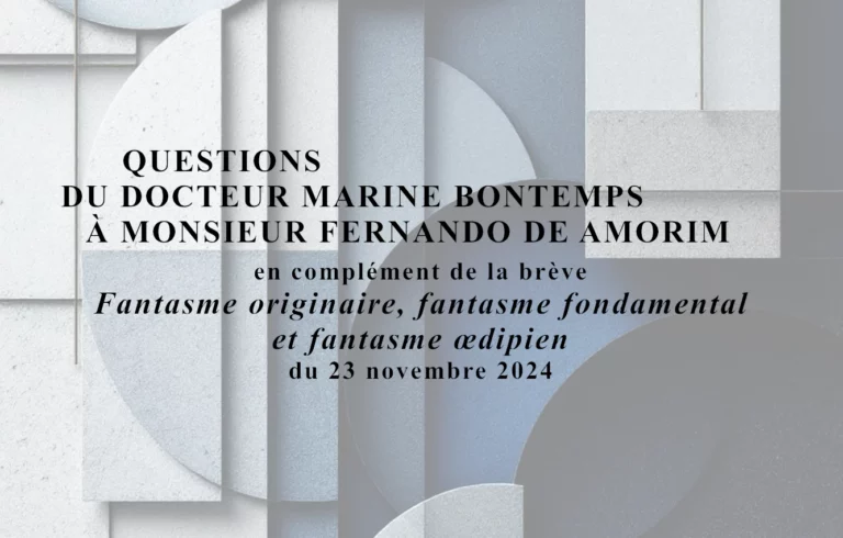 Lire la suite à propos de l’article Questions du Docteur Marine Bontemps à Monsieur Fernando de Amorim