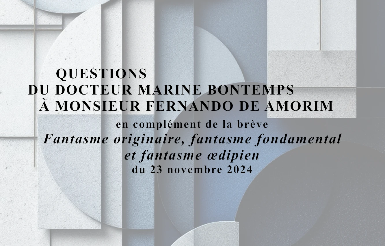 You are currently viewing Questions du Docteur Marine Bontemps à Monsieur Fernando de Amorim